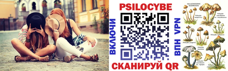 закладка  Новотитаровская  Псилоцибиновые грибы мухоморы 