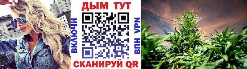 omg как войти  Новотитаровская  Канабис план 